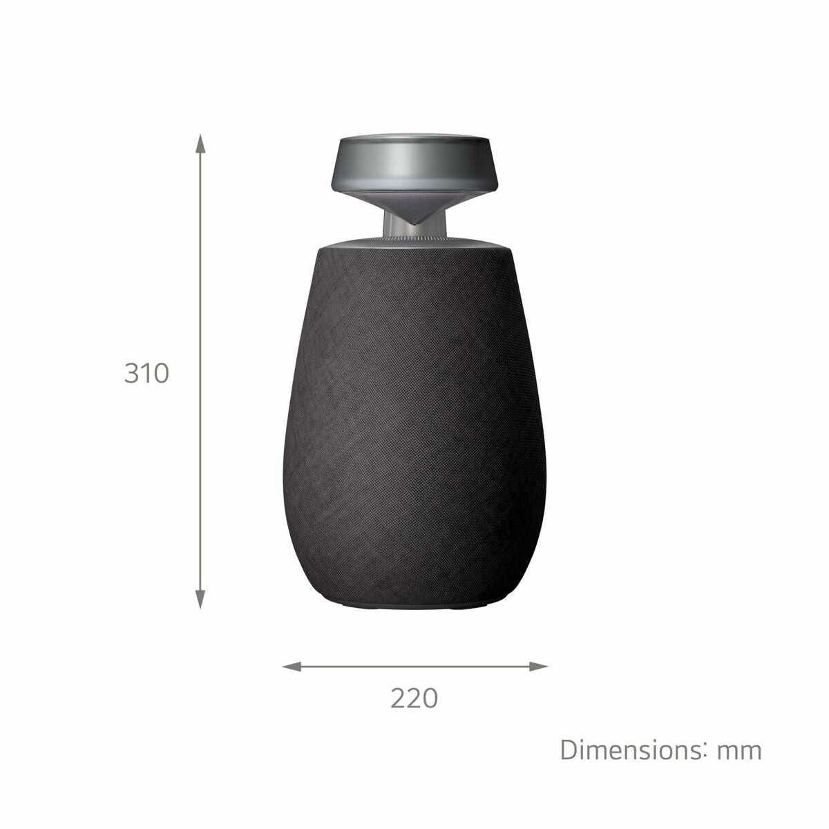 Portable Bluetooth Speakers LG XG2TBK Black 5 W LG