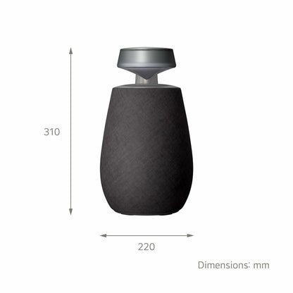 Portable Bluetooth Speakers LG XG2TBK Black 5 W LG