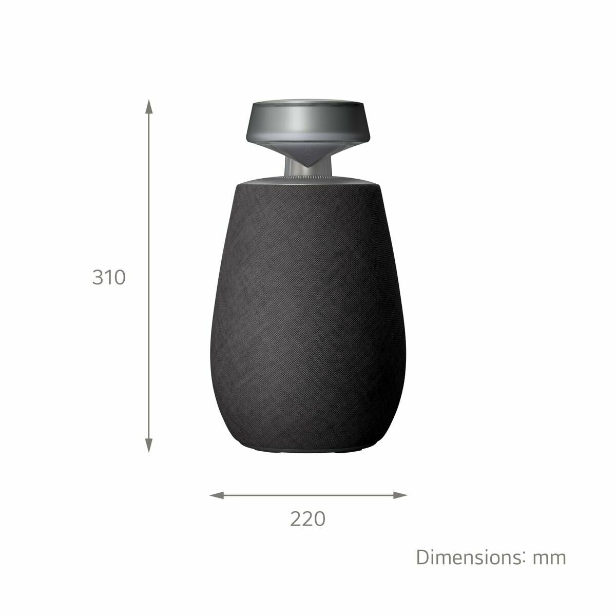 Portable Bluetooth Speakers LG XG2TBK Black 5 W LG